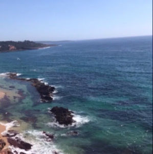 Meet your Posher, Laila